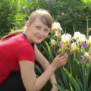 Светлана из Чехова, ищу на сайте постоянные отношения